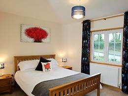 Rose / Rhosyn room, 18-61