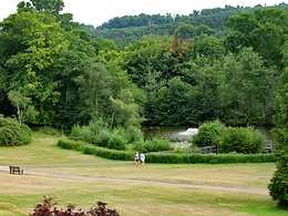 Ashdown Park