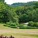 Ashdown Park