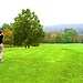 Ashdown Park