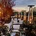 Balmer Lawn Hotel
