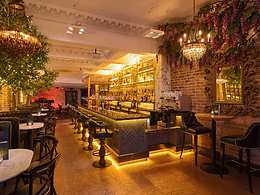 Drafthouse restaurant, Black Ivy