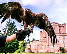 Dalhousie Castle