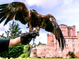 Dalhousie Castle