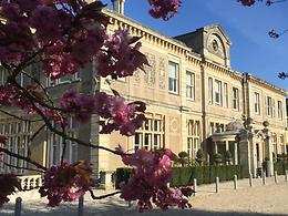 Down Hall