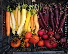 The Kitchen Garden restaurant, Dunkeld House Hotel