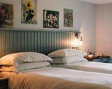 Forss House Hotel - Deluxe Twin room Deluxe Twin room, Forss House Hotel