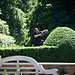 Goldsborough Hall