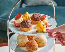Orangery restaurant, Matfen Hall Hotel