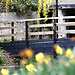 Quy Mill Hotel & Spa