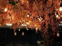 Blossoms Restaurant restaurant, Rutland Hall Hotel & Spa