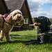 Rutland Hall Lodges