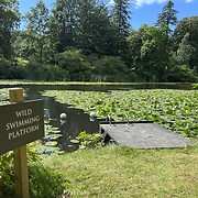 Swinton Park Hotel
