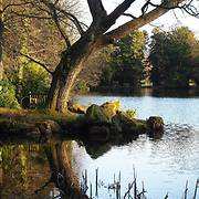 Swinton Park Hotel