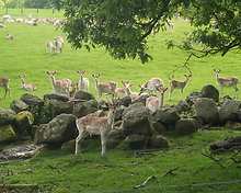 Swinton Park Hotel