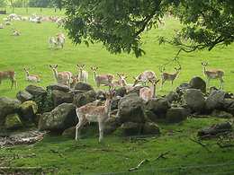 Swinton Park