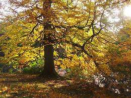 Swinton Park