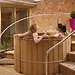 The Elan Spa at The Greenway spa, The Greenway Hotel & Spa