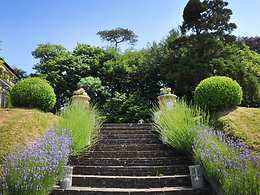 The Horn of Plenty