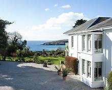 The Rosevine Hotel