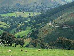 Tyddyn Llan Country Hotel
