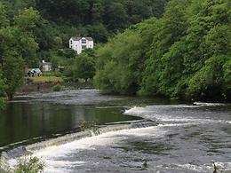 Tyddyn Llan Country Hotel