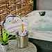 Wild Thyme and Honey